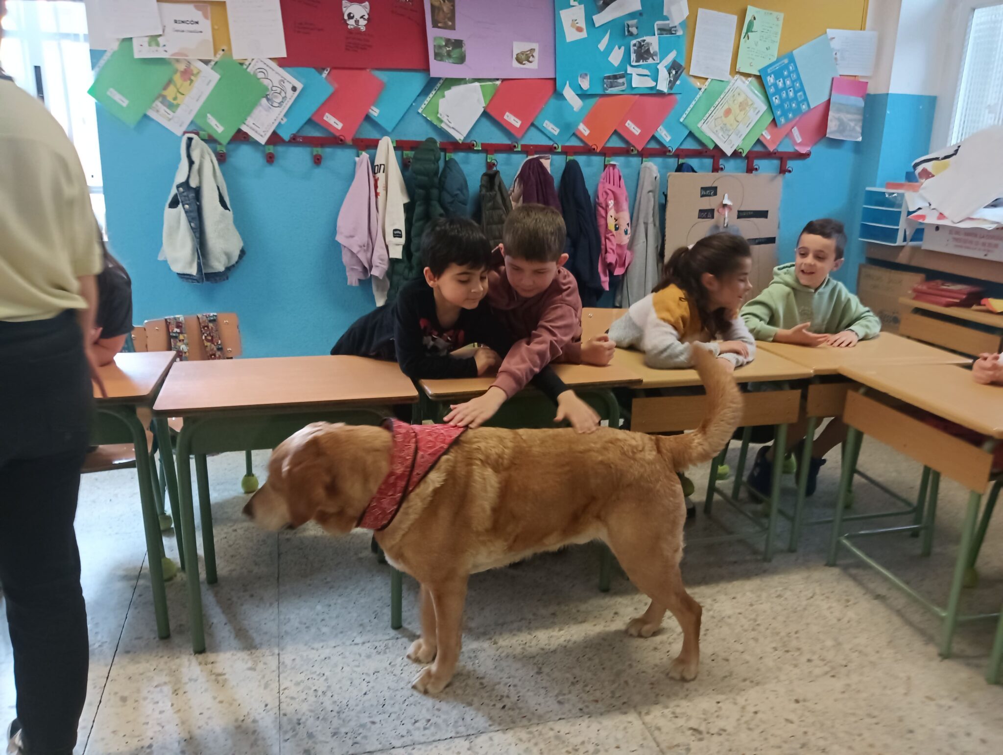 Bizcocho deja huella en la clase de 2º EP